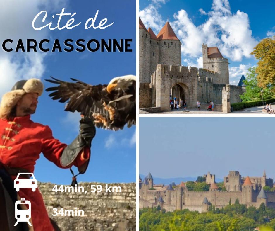 Le Spacieux Anatole, T3 Bis, Centre Ville Нарбонна Экстерьер фото